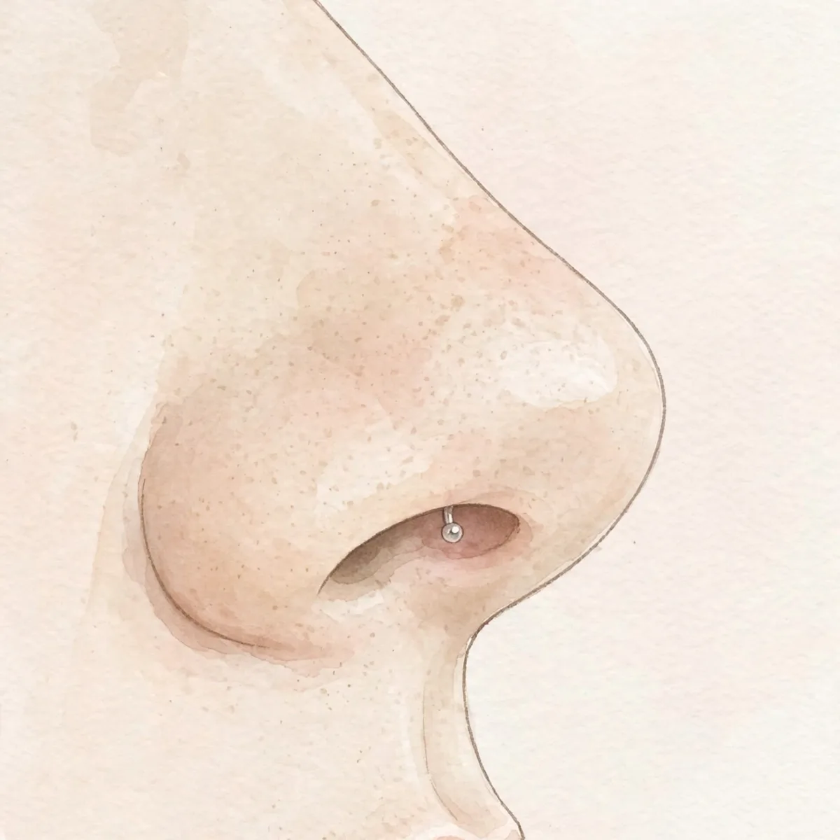 Best Nose Piercings For Your Nose Shape Body 1